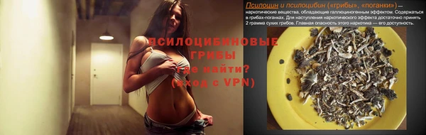 мяу мяу мука Белокуриха