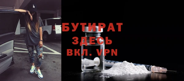 гашик Сосновка