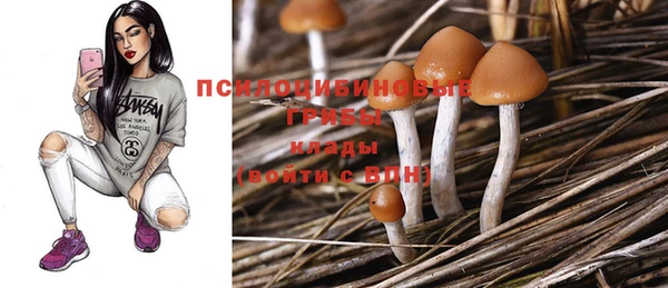 трава Балахна