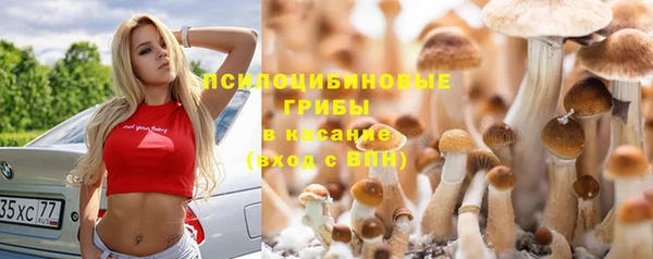 спайс Балабаново