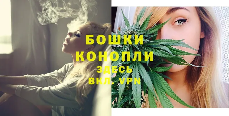 Бошки Шишки THC 21%  Вельск 